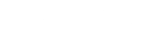 LentiWizard